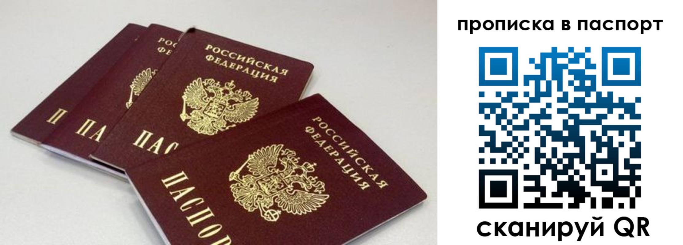 найти адрес прописки в Курчатове